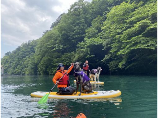[Tochigi / Nasu] Itamuro Dam Lake SUP Experience Tour (SUP: Nasu Area)の画像