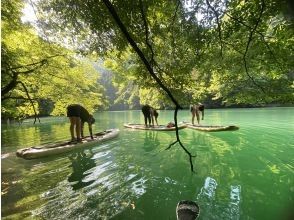 Okutama Sap Yoga + leisurely sap experience