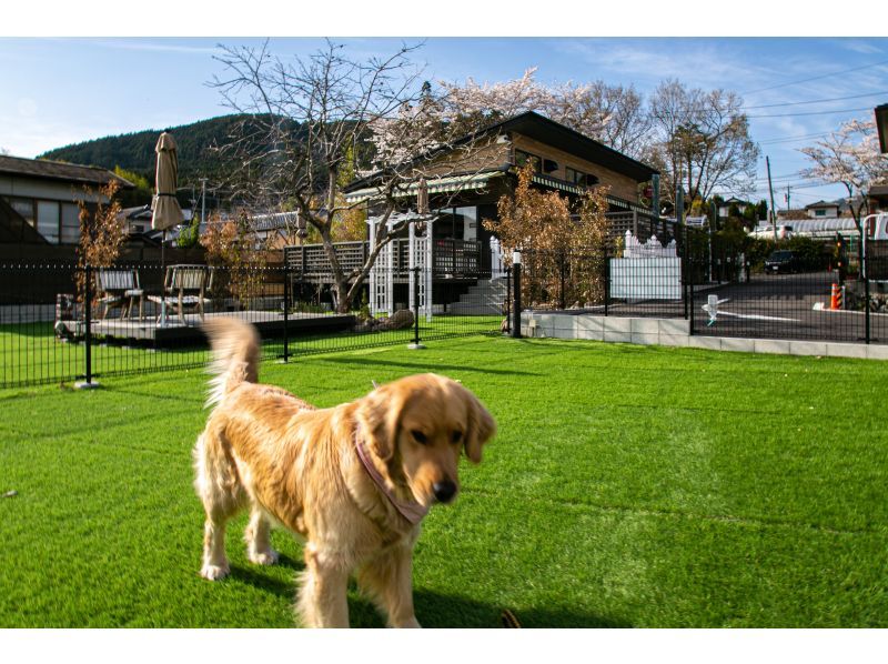 AS dog park reservation + private hot spring included [2 hours]の紹介画像