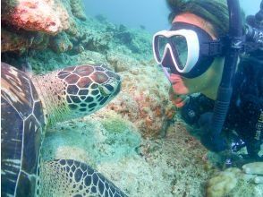 [Ishigaki Island/1 day] Landing on the phantom island & experience diving & sea turtle snorkeling ☆ Free GoPro rental ☆