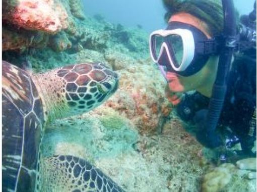 【石垣島/1日】幻の島上陸＆体験ダイビング＆ウミガメシュノーケリング☆GoProレンタル無料☆の画像