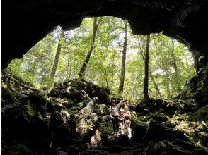 [Yamanashi/Kawaguchiko/Lake Saiko] "There was such a world..." Mystery of Mt. Fuji! Sea of Trees Walk Exploration Eco Guided Tour (Sunrise Short Plan)