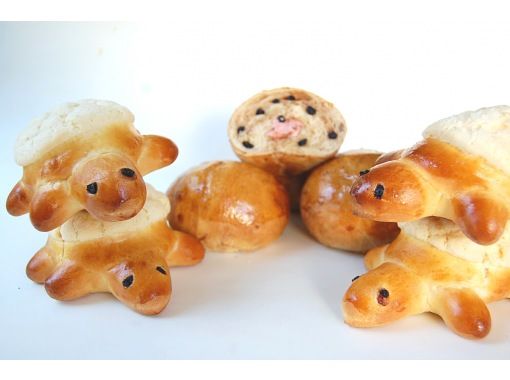 日程リクエスト　親子パン教室(カメロンパンを作ろう）　の画像