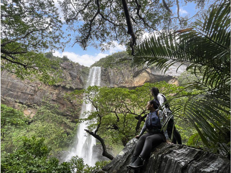 Iriomote Island Tourist Spot Recommended Ranking Pinaisara Falls Nature Spot Power Spot Okinawa Prefecture's Largest Drop 55m White Bearded God Waterfall Basin Spectacular View Mysterious Scenery of Long Thin Water Falling Down from a Huge Cliff