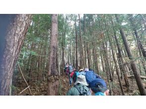 【福島県・いわき市】いわきあるき　【初心者向けいわきの低山登山】朝日山登山