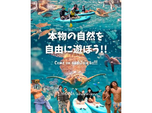 [石垣島] ★SUP 和海龜浮潛僅限一組★在其他旅遊中，您必須遊 1000 公尺才能到達海龜身邊，但在這次旅遊中，您可以輕鬆乘坐 SUP 完成！ ！の画像