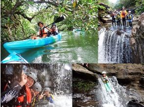 Iriomote Island Komorebi Trip