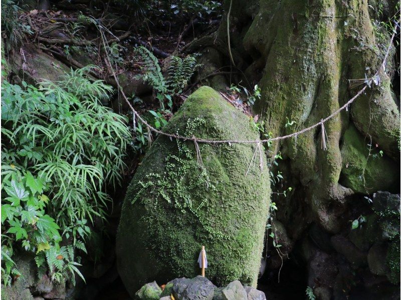 【大分・別府】ゆのくにクルーザーで行く別府DEEP観光コース／内成・水分石＋月見石の紹介画像