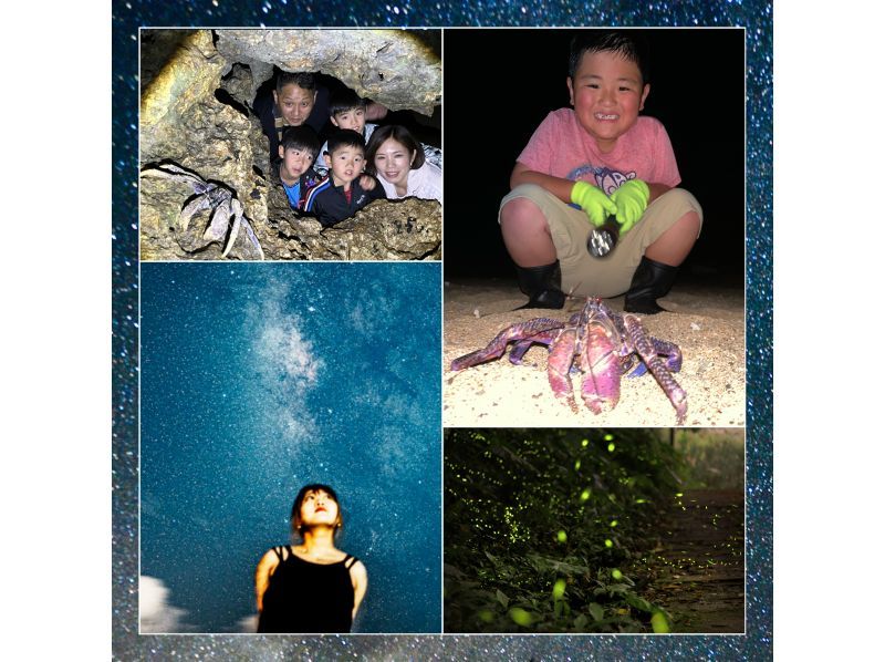 [Ishigaki Island / Private tour for one group] Starry sky photo, firefly viewing & jungle night tour