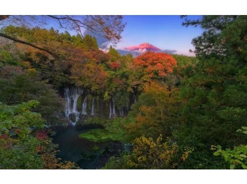 【軽井沢エリア】専用ドライバー観光レンタカー付きカスタマイズ10時間日帰りツアーの画像