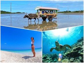 [Iriomote Island/1 day] Enjoy two remote islands! Boat snorkeling on Barasu Island & sightseeing on Yubu Island [Free photo data/equipment rental]