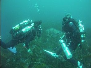 【伊豆大島】体験リブリーザーダイバーコース【PADI OWD以上、エンリッチSP認定の方】