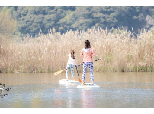 [Shiga・Omihachiman] ☆Eight Views of Lake Biwa☆Suigyo SUP Cruise Popular with children and adults alike☆Exciting adventure SUP through the reed maze! [2-hour course]の画像