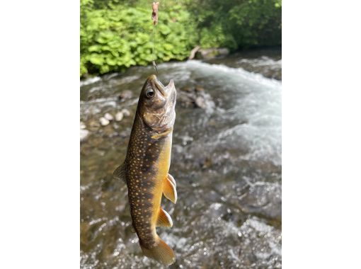 [Hokkaido, Teshikaga] Refresh your mind and body! A mountain stream fishing tour to enjoy Hokkaido's great outdoorsの画像