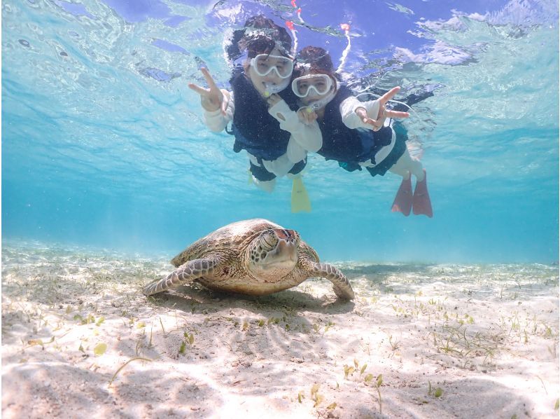 [宮古島] [Insta360° x5 for Z世代] 影片拍攝計畫！海龜浮潛活動！の紹介画像