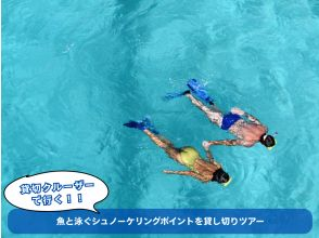 [Okinawa, East Coast] Reserve a snorkeling spot to swim with the fish! Private 1-day cruise tour [300 minutes]