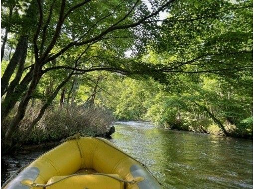 [Hokkaido, Chitose River] ⭐︎Super stable boat tour (standard course) Super clear water! Let's go on a great adventure down the river with the fish swimming in the river and the birds living in the forest ☆★☆の画像