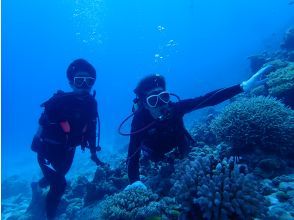 [Okinawa, Northern] Boat Experience Diving ~ 2 Dives (Minna Island / Sesoko Island / Sakimotobu Area)