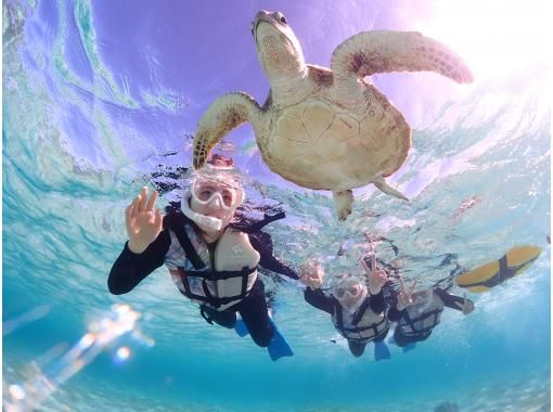 Miyakojima/Private tour《Enjoy a great deal with a student discount!》Encounter rate of 100% continues! [Sea turtle snorkeling] ★Pick-up and drop-off available! ★Same-day reservations OK! ★Free photo data!の画像