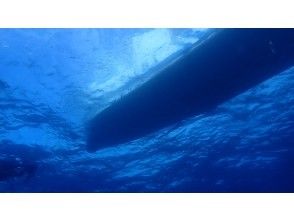 【和歌山・串本・ファンダイビング】本州最南端の海で2ボートダイビング　少人数制でのんびり串本の海を堪能！！ 　初心者大歓迎