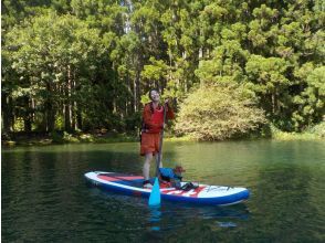 Dogs are welcome to join! SUP (Lake SUP) Cruising ~ Private tour limited to one group ~ Photos included ~