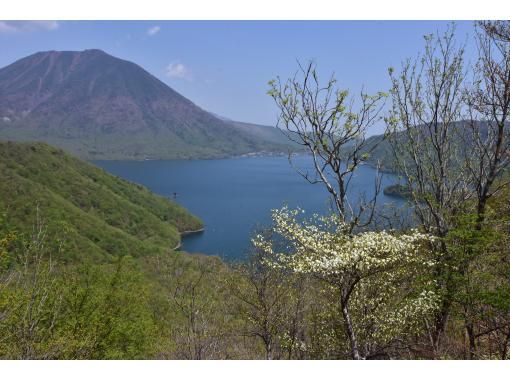 【栃木県・奥日光】ツツジ咲く絶景の尾根を歩こう！社山トレッキングの画像