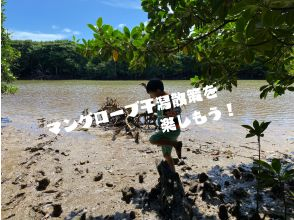 【石垣島/2時間】宮良川のマングローブで干潟散策！カヤックに乗らなくても遊べる不思議アドベンチャーツアー！