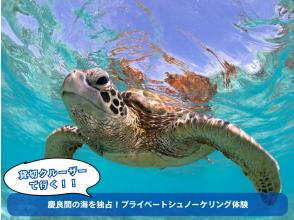 [Okinawa, West Coast] Exclusive access to the Kerama Sea! Private snorkeling experience on a chartered boat [180 minutes]