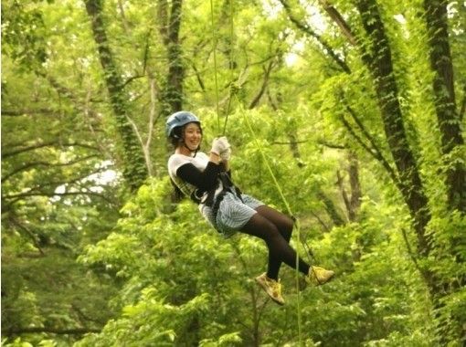 【兵庫・但馬】最高15m！ロープを使って木の上に登ってみよう！ツリーイング（半日コース）の画像