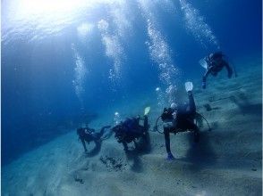 Easy trial diving short course! Recommended for the day you arrive on the island or the day you leave the island! Convenient access to accommodations, ports, and airports! The largest facility on the island, free of charge! Free swimsuit rental!