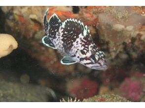 【宮城/石巻】自然あふれる石巻、女川　東北の海に楽しむ！