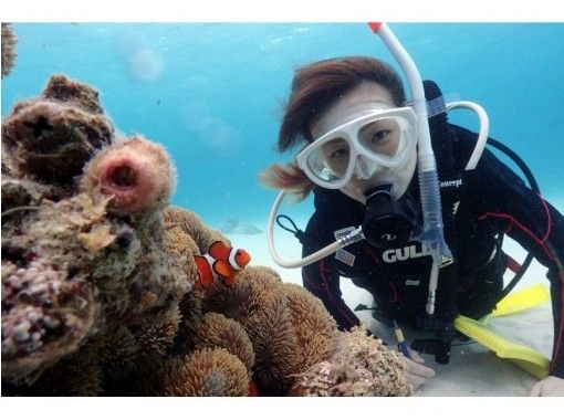 夏をいち早く楽しもう！【石垣島発-竹富島解散】 安心の少人数制！憧れの無人島＆美ら海体験ダイビング！（半日コース）の画像
