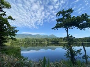 【北海道・知床】人気夏プログラム！知床五湖ガイドツアー ～世界自然遺産・知床の森を散策～