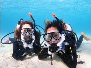 【沖縄・石垣島・半日体験ダイビング】ライセンス不要！未経験者向け、安心の丁寧な講習つき！