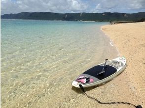 [Kagoshima-Amami Oshima] want to enjoy free experience only! SUP rental plan (4 hours to)