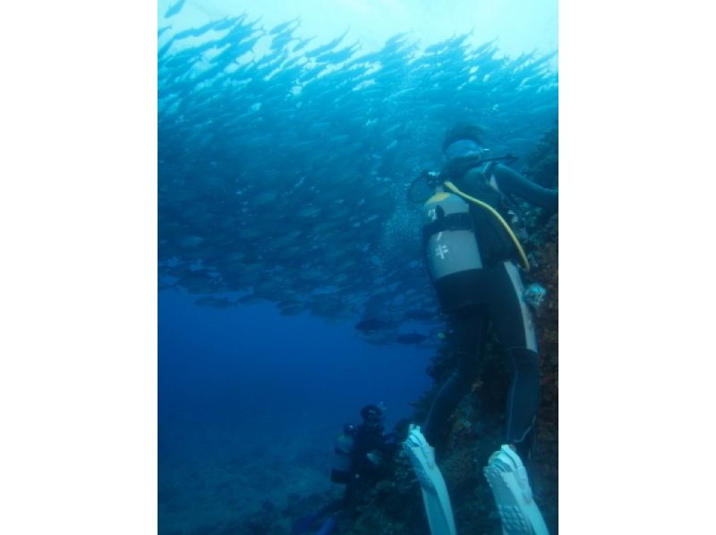 【Okinawa · Urasoe】 licensed! PADI Open Water Diver Course / C Card Acquisition Courseの紹介画像