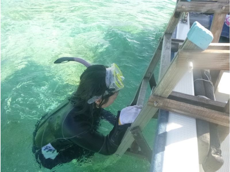 【沖縄・西表島】サンゴ礁の広がるエメラルドの海で体験ダイビング（半日コース）の紹介画像