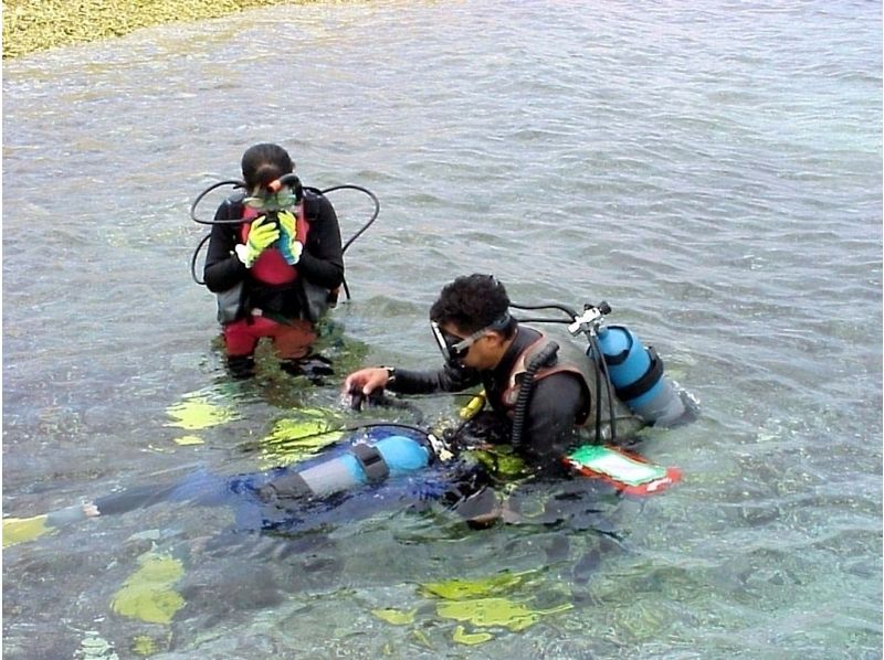 【沖縄・西表島】サンゴ礁の広がるエメラルドの海で体験ダイビング（半日コース）の紹介画像