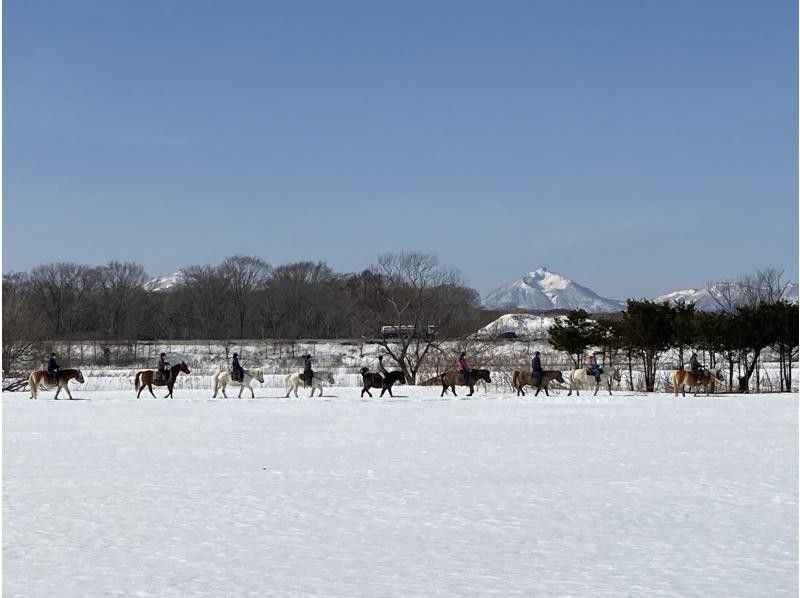 [Hokkaido Eniwa] trying to enjoy nature in Hokkaido in the riding! Horse trekking experience [2 hours]の紹介画像
