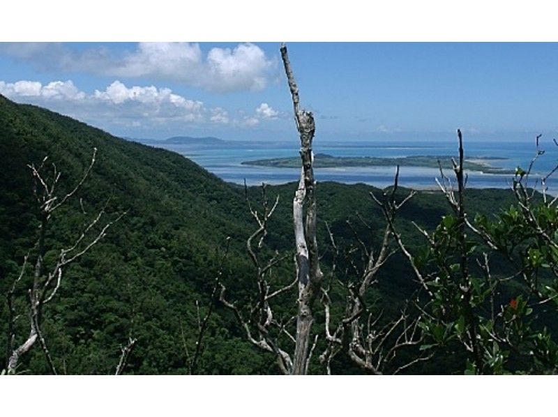 【 冲绳 ·西表岛】到西表岛的顶端到科米达！徒步旅行の紹介画像