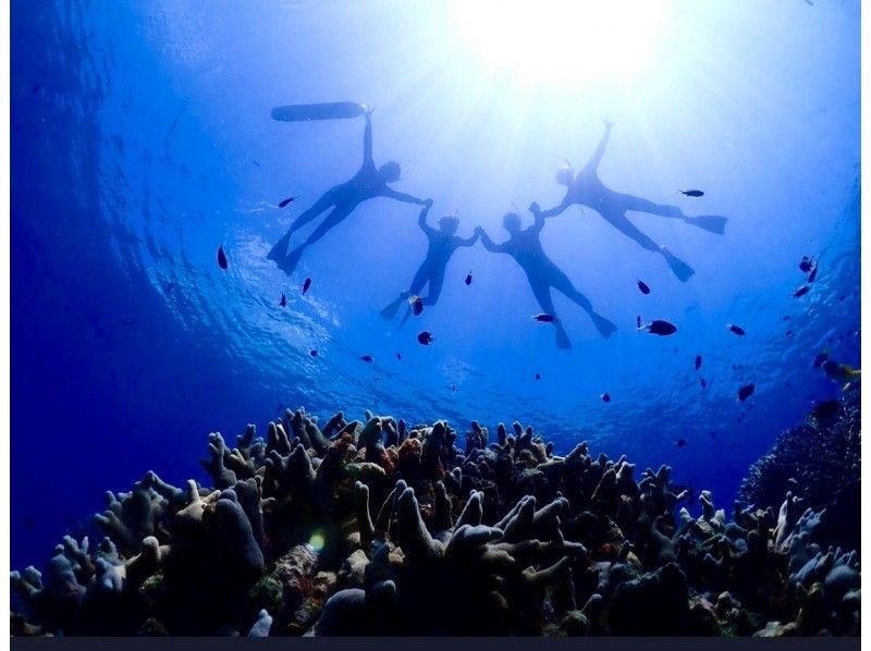 [初学者专卖店] [最后一刻预约OK]在清澈的海水中浮潜！登陆幻影岛、石青泻湖浮潜【3小时】最适合与观光相结合の紹介画像