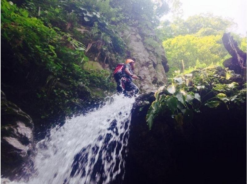 [Toyama, Kamioka] Canyoning (long course) Middle Special