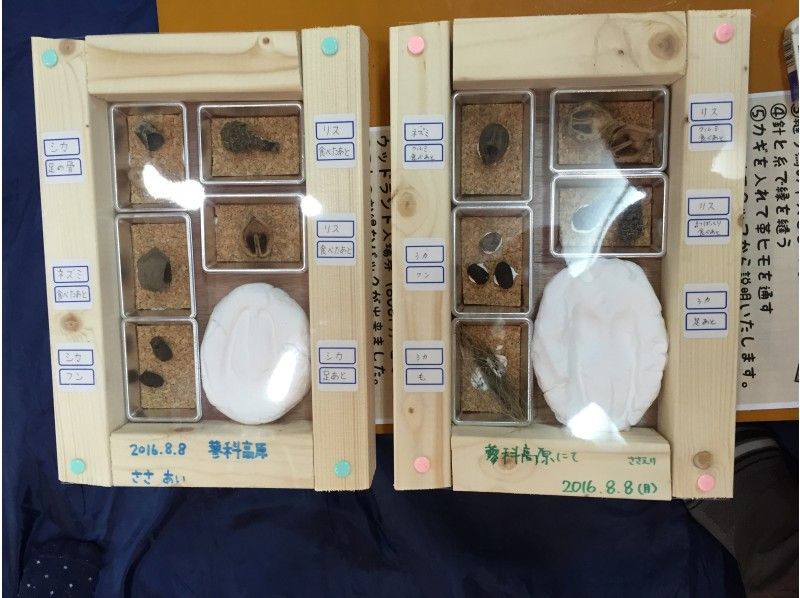 【長野・蓼科】ちょっとマニアックでおもしろい！山の中に暮らす動物達の痕跡を辿る！アニマルトラッキング