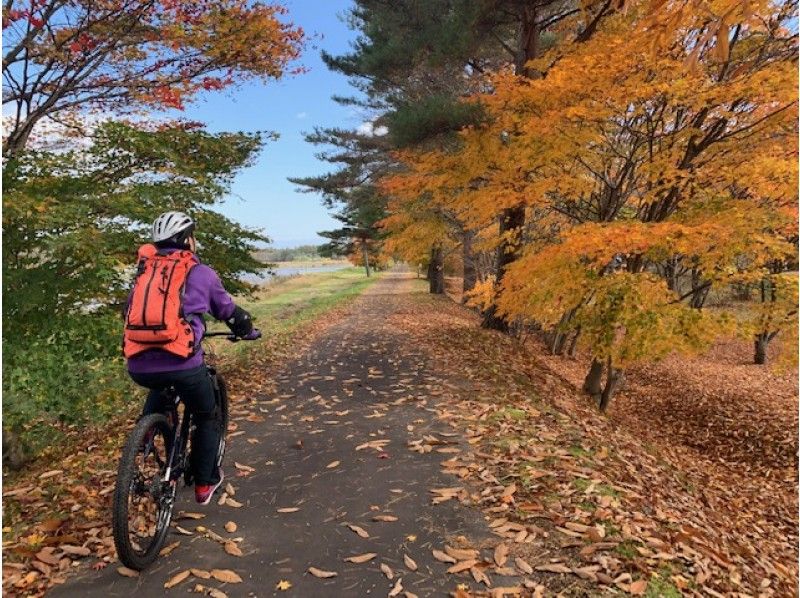 【★東北・八幡平の自然を満喫★】 MTB(マウンテンバイク)体験ツアー【半日プラン】