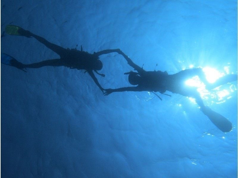 Clear Kayak & Sea Turtle Tour [Free drone aerial photography included]の紹介画像