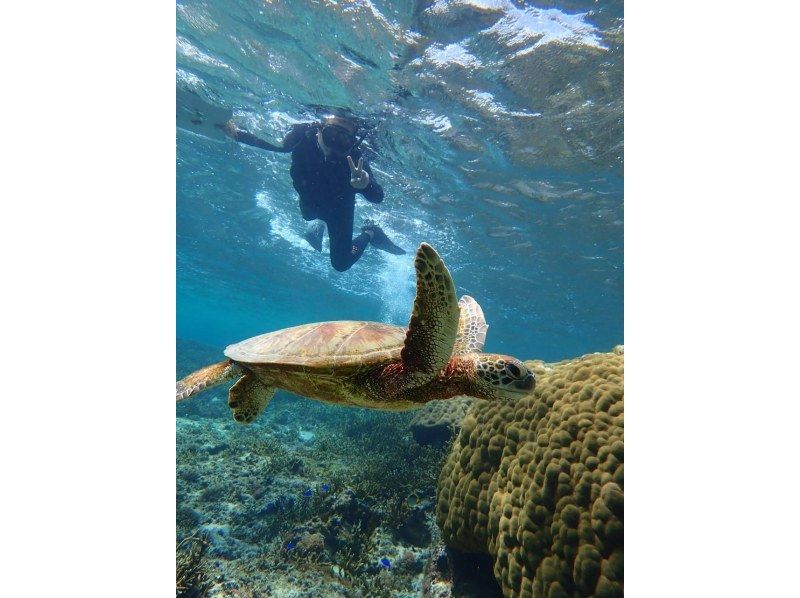 Clear Kayak & Sea Turtle Tour [Free drone aerial photography included]の紹介画像