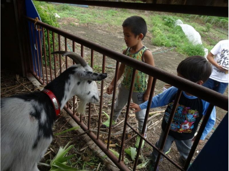 [กุมมะเมบาชิเมือง] "ปลูก" และ "เก็บเกี่ยว" เช่นใช้เวลาครึ่งวันที่จะสัมผัสประสบการณ์การเกษตร★ชนบทの紹介画像