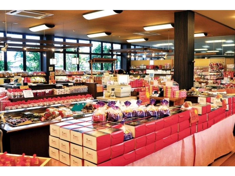 【群馬・沼田】赤く可愛いいイチゴ食べ放題！大人から子供まで楽楽いちご狩り！12月から6月まで楽しめます♪1980円～770円