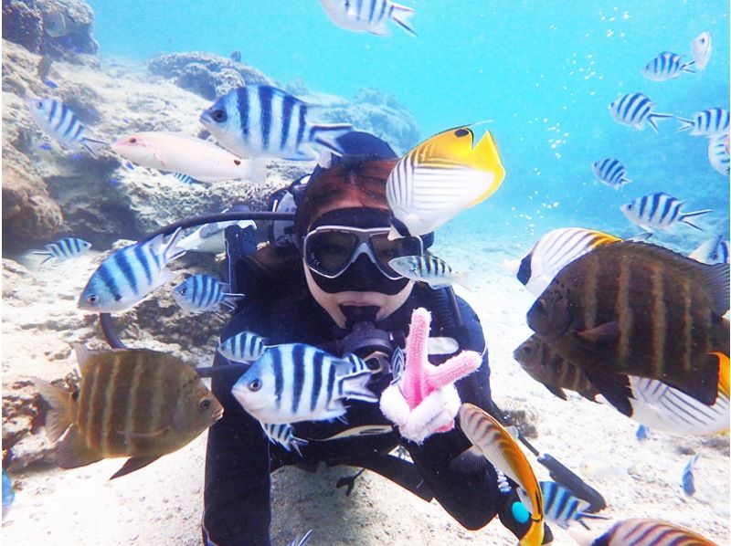 【沖縄・サンゴ礁・体験ダイビング】サンゴ礁と熱帯魚の餌付け満喫！完全貸切！GoPro写真＆動画無料！沖縄人ガイド！口コミ＆写真満足度Ｎo1の紹介画像