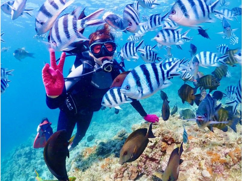 【沖縄・サンゴ礁・ファンダイビング・2ダイブ】サンゴ礁と熱帯魚の餌付け満喫！GoPro写真＆動画無料！沖縄人ガイド！口コミ＆写真満足度Ｎo1の紹介画像